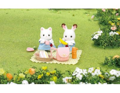 Sylvanian Families Piknik set pre škôlku