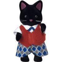 Sylvanian Families Rodina polnočných mačiek 4