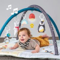 Taf Toys Hracia deka Severný pól štyri ročné obdobia 2