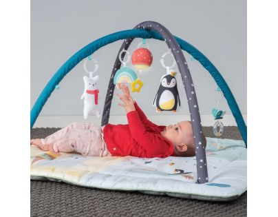 Taf Toys Hracia deka Severný pól štyri ročné obdobia