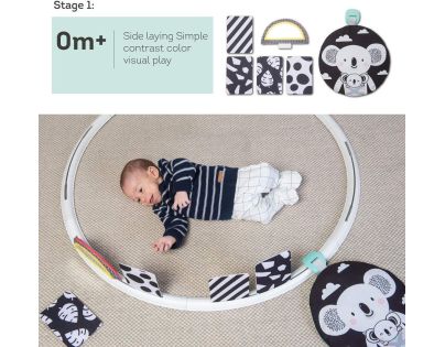 Taf Toys Hracie kruh s aktivitami All Around Me - Poškodený obal