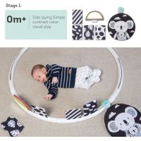 Taf Toys Hracie kruh s aktivitami All Around Me - Poškodený obal 4