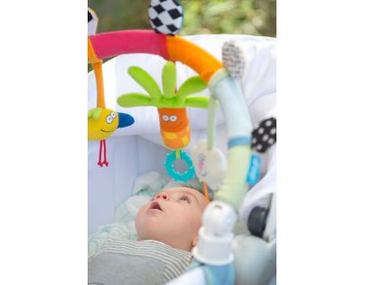 Taf Toys Hrazdička Duha