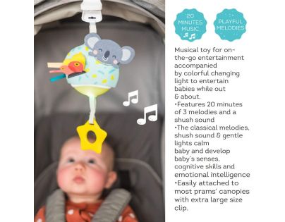 Taf Toys Hudobné Koala