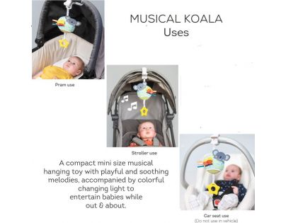 Taf Toys Hudobné Koala