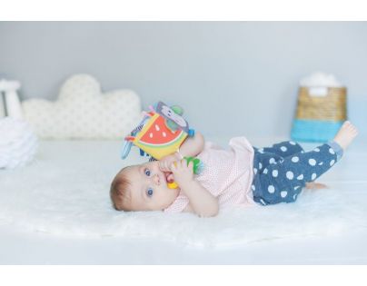 Taf Toys Kocka vtáčik