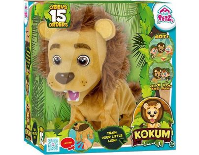Teddies Kokum Lvíček