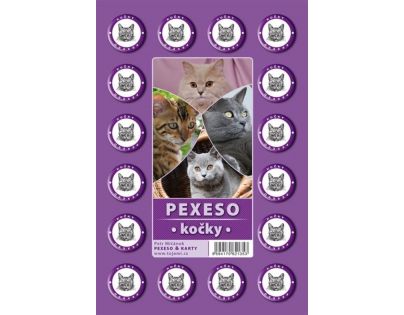 Teddies Pexeso Kočky 64 ks