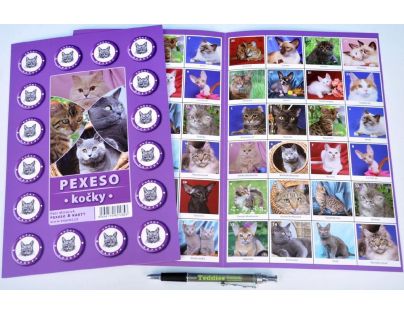Teddies Pexeso Kočky 64 ks