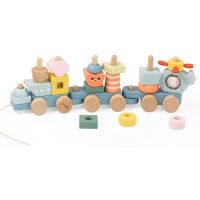 Teddies Vlak + 2 vagóny oceán drevo ťahacia stavebnica 28 dielikov v krabici 38x12x8cm 12m+ 2