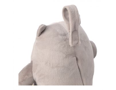 Tommee Tippee Nočné svetlo s hudbou Grofriend Ollie the Owl