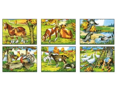 Topa kostky Domácí zvířátka v krabičce