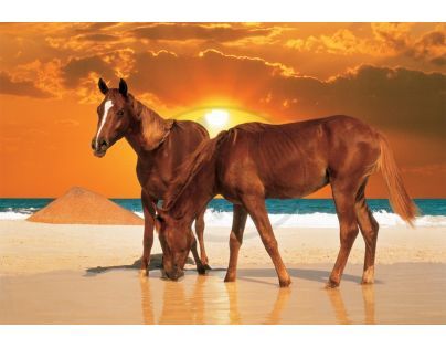 Trefl Puzzle Koně na pláži 1500 dílků