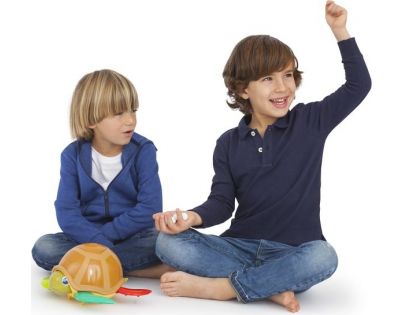 Mikro Trading Turtle Fun