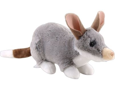 Vakojazvec ušatý 23 cm