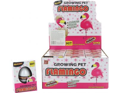 Vajcia liahnuce Plameniak