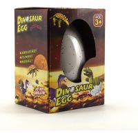 Vajcia maxi liahnuce dinosaurus 4