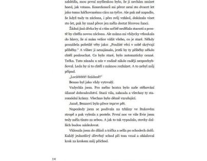 Bookmedia Voňavá lékárna Ve vzduchu se vznáší tajemství Anna Ruheová CZ verzia