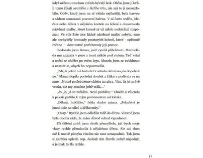 Bookmedia Voňavá lékárna Ve vzduchu se vznáší tajemství Anna Ruheová CZ verzia