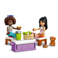 LEGO® Friends 42659 Výlet autom s priateľmi 4
