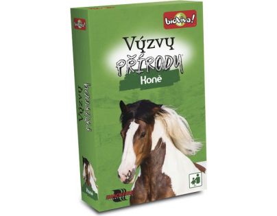 Black Fire Výzvy přírody Koně