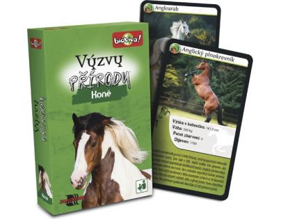 Black Fire Výzvy přírody Koně