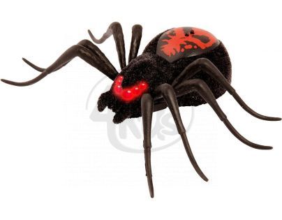 Wild Pets Pavouk - Creepster černý