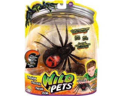 Wild Pets Pavouk - Creepster černý