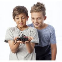 Wild Pets Pavouk - Creepster černý 3