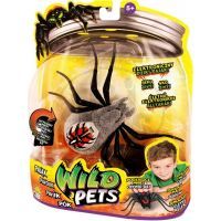 Wild Pets Pavouk - Wolfgang šedý 2