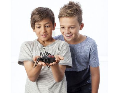 Wild Pets Pavouk - Wolfgang šedý