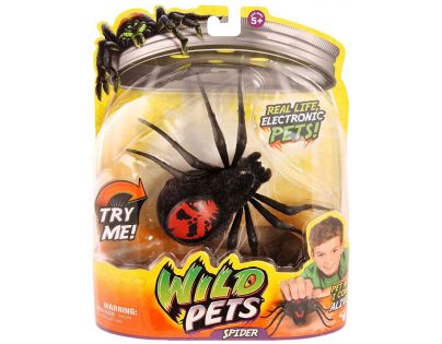 Wild Pets Pavouk II. - Creepster