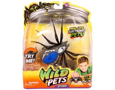 Wild Pets Pavouk II. - Striker