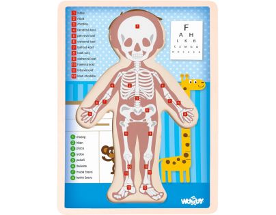 Puzzle Ľudské telo Chlapec 13 dielikov SK