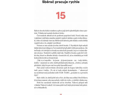 Albatros Záhada hlavolamu CZ verzia