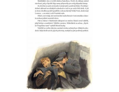 Albatros Záhada hlavolamu CZ verzia