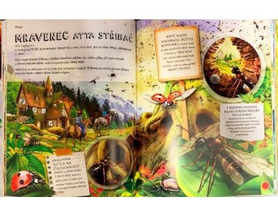Zvieratá Dômyselní architekti a stavitelia